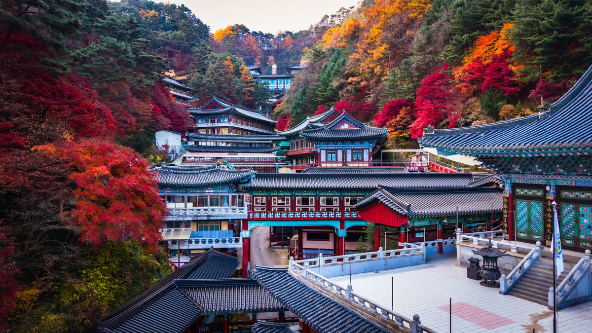 울긋불긋한 단풍에 둘러싸인 산속 한국 전통 사찰 전경